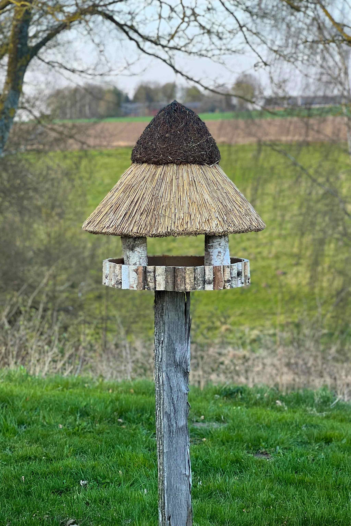 Fuglehus med stråtag - størrelse Large