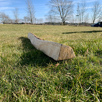 Stolpe i eg til fuglehus med stråtag